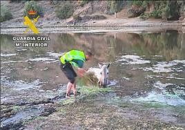 Un agente junto al caballo en un momento del rescate.