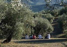 El cambio climático ha sido la temática de este año.