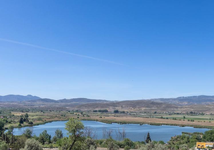 Imagen principal - Escenas de la Laguna de Padul. 