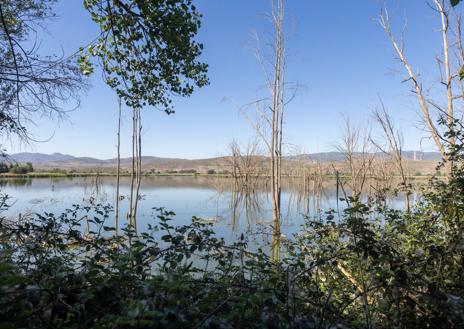 Imagen secundaria 1 - Escenas de la Laguna de Padul. 