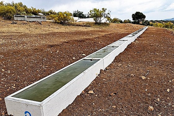 Abrevaderos en el paraje Fuente del Rosal, en Navas de San Juan.
