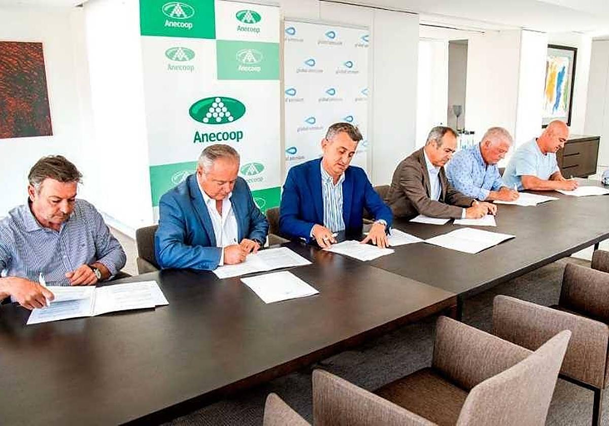 Anecoop medirá sus huellas hídricas y de carbono