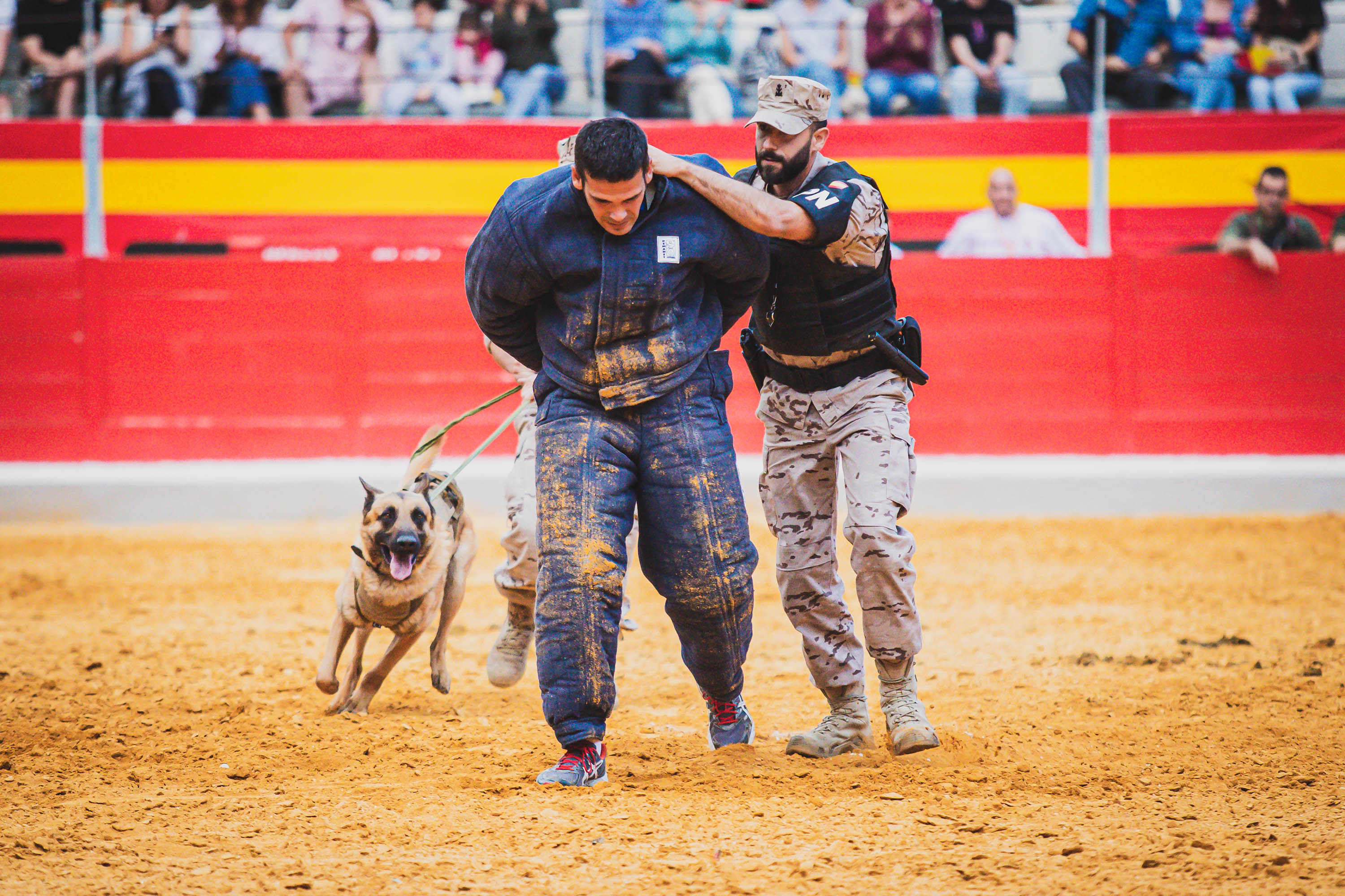 La exhibición militar en la plaza de toros, en imágenes