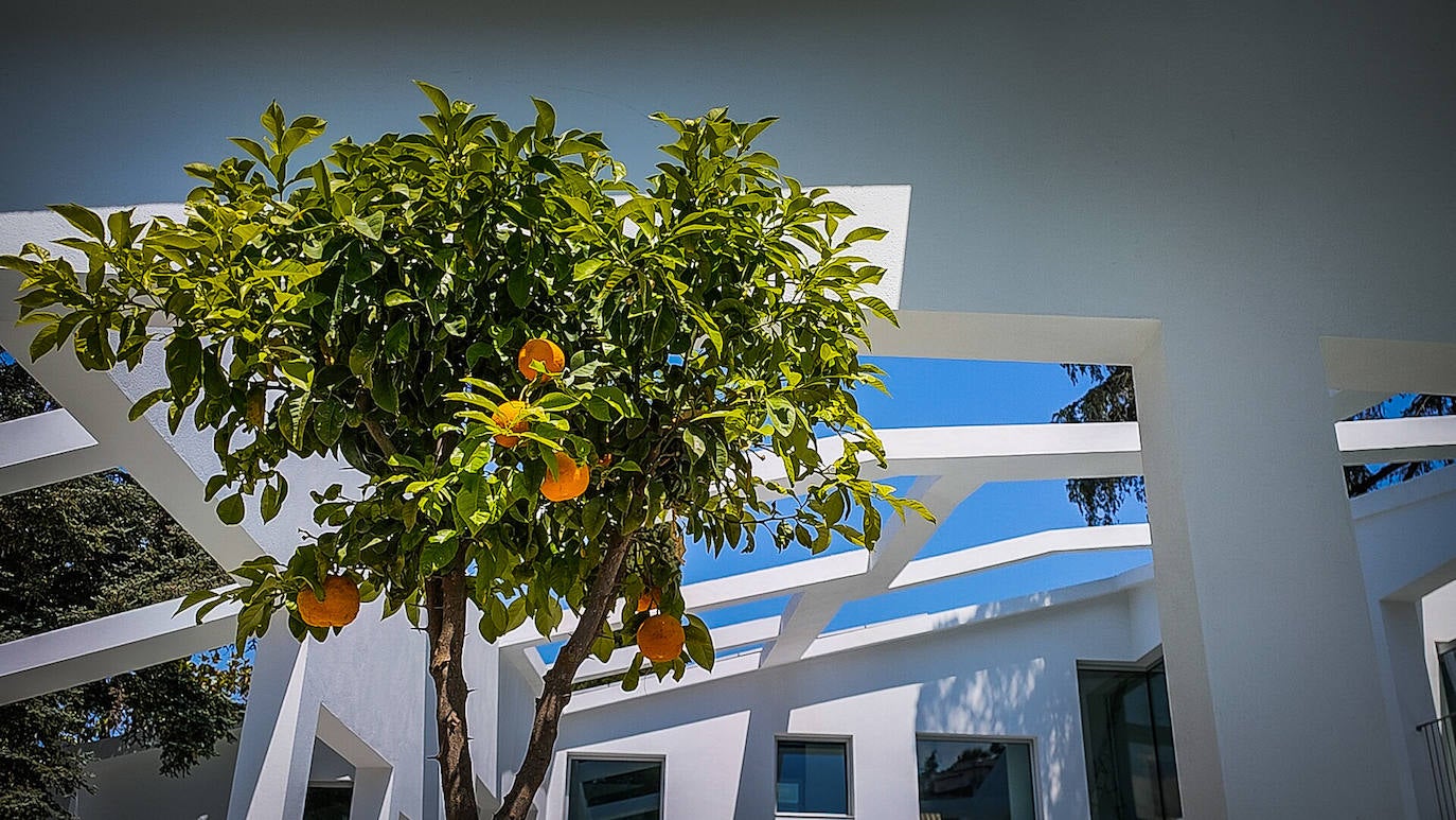 Imagen secundaria 2 - Detalles de la Casa R. 