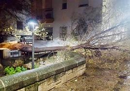 Las lluvias, protagonistas en Andalucía en los últimos días.
