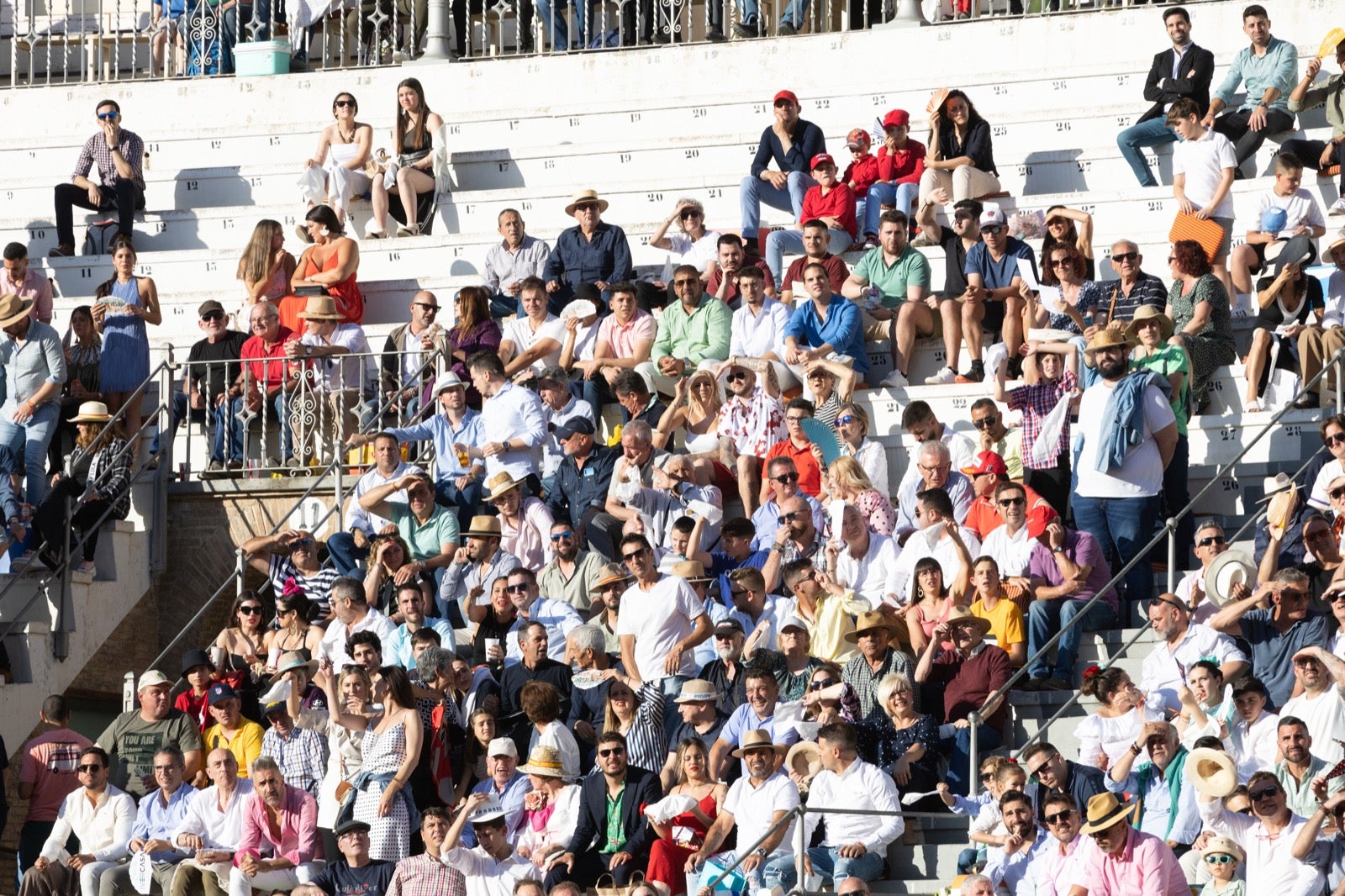 Encuéntrate en la plaza de toros de Granada en la tarde del viernes