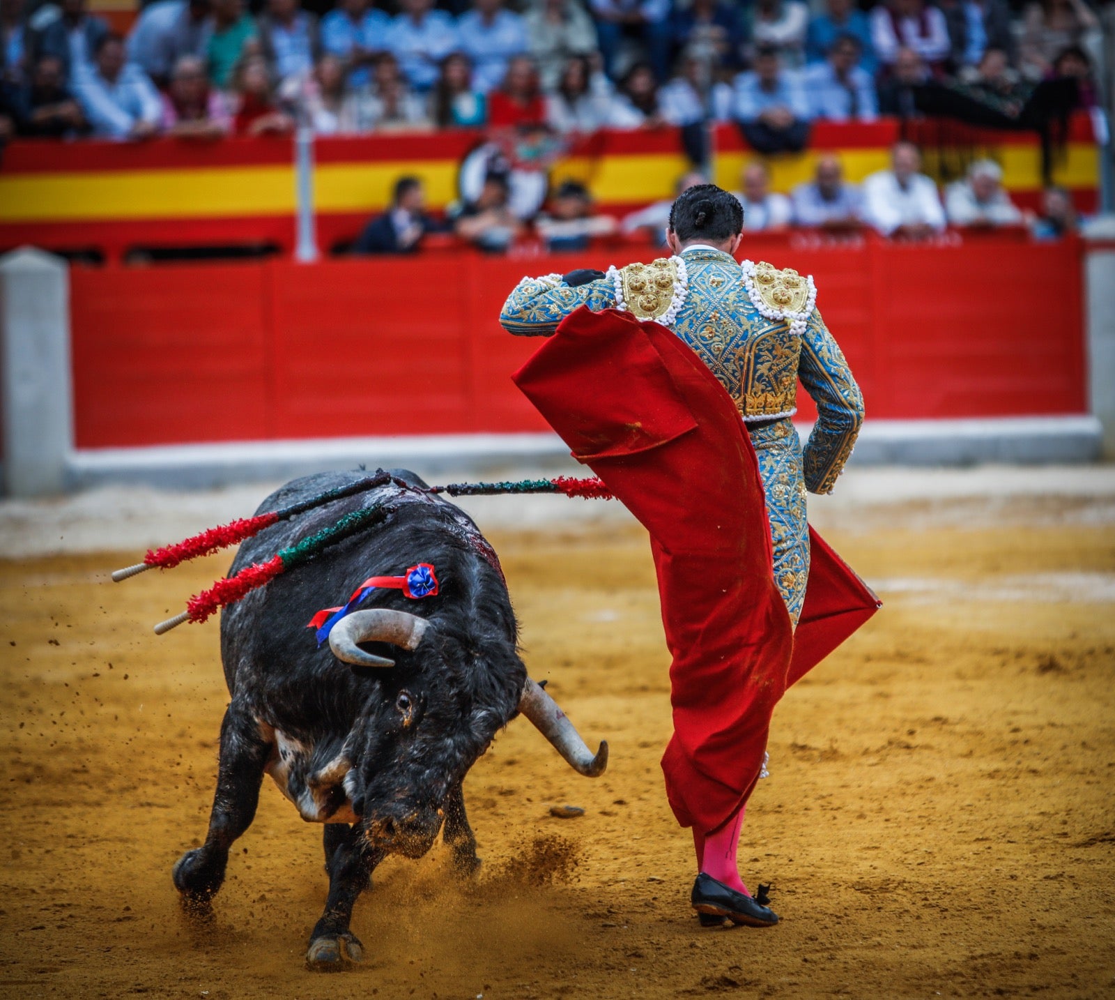 La corrida del Corpus, en imágenes