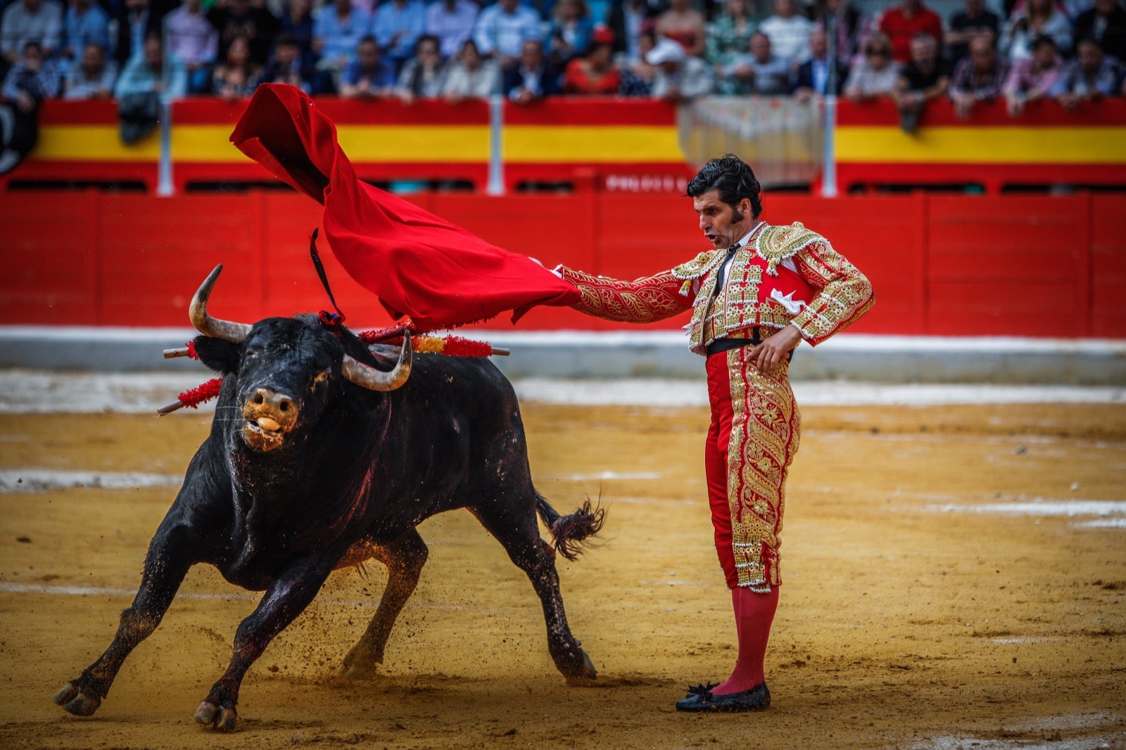 La corrida del Corpus, en imágenes