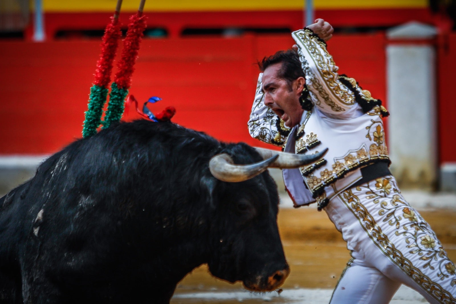 La corrida del Corpus, en imágenes