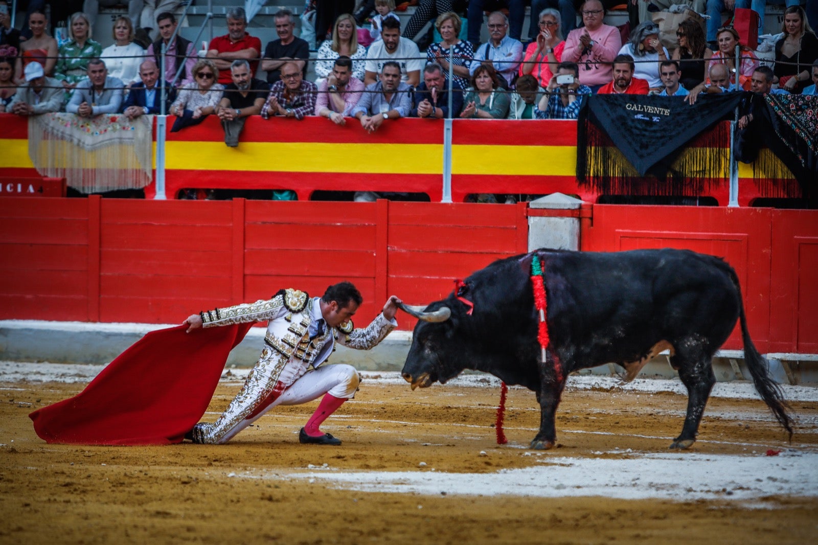 La corrida del Corpus, en imágenes