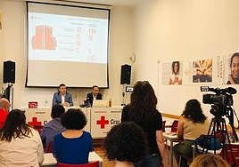 Presentación del balance anual de Cruz Roja Almería, en la sede de la entidad.