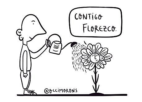 Imagen secundaria 1 - Coca y algunos de sus dibujos. 