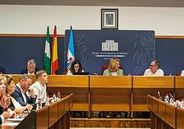 Imagen del pleno que ha tenido lugar hoy.