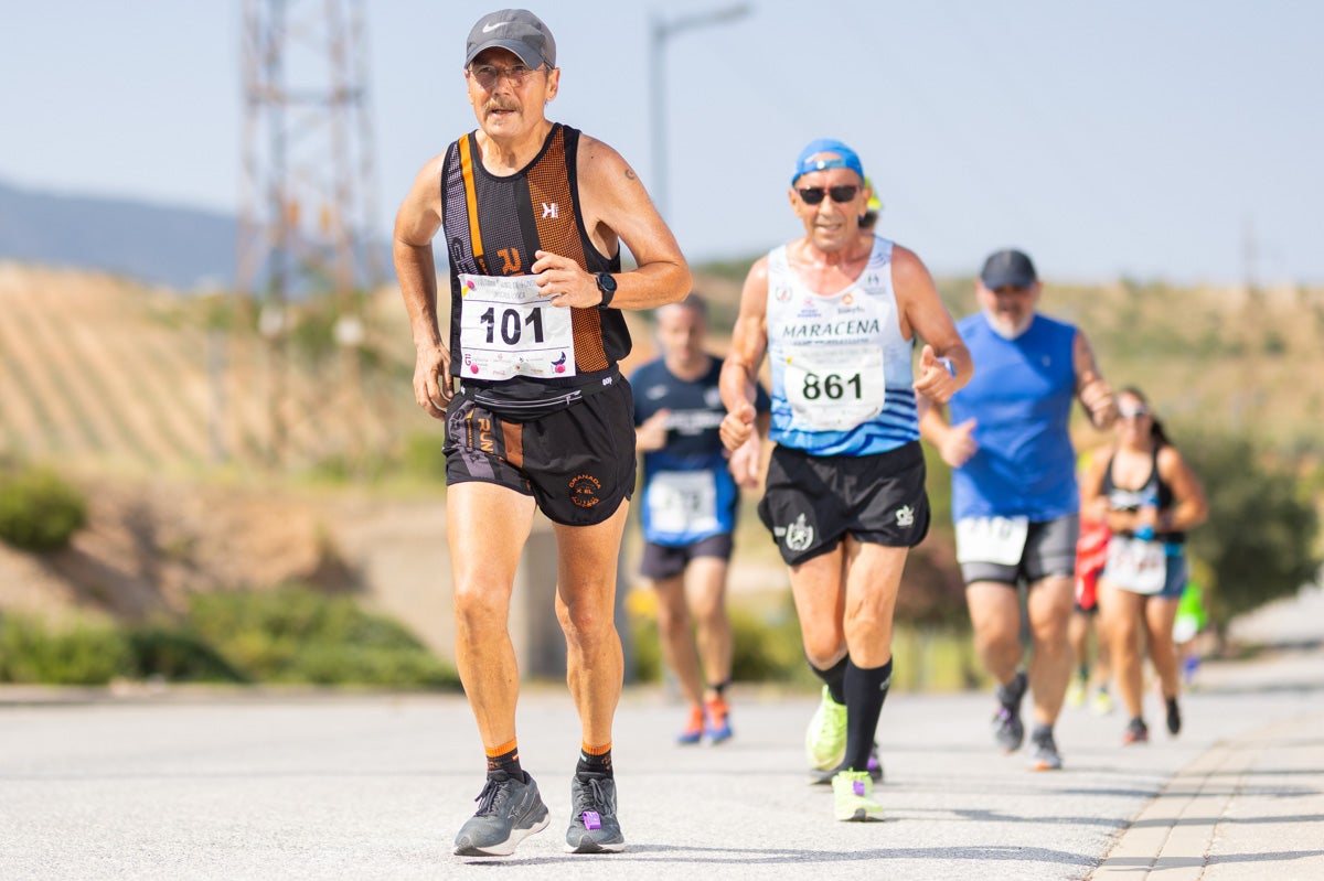 Encuéntrate en la carrera de Gójar