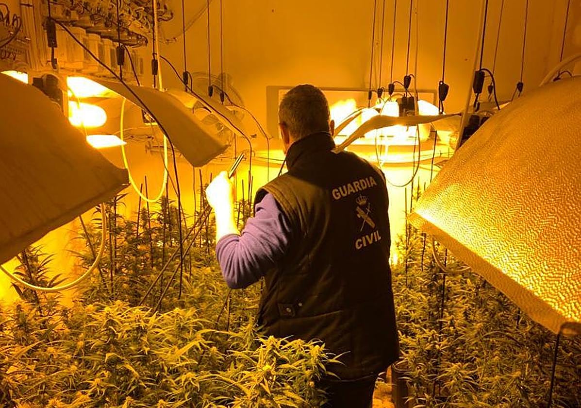 Uno de los invernaderos descubiertos.