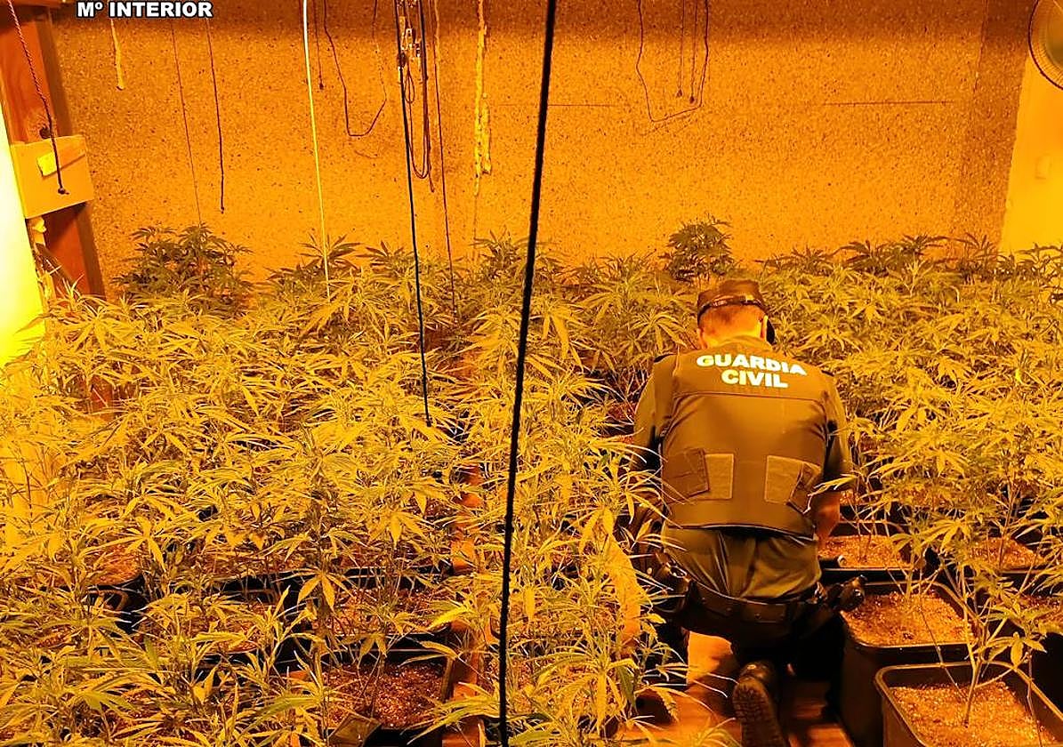 Encuentran marihuana, hachís, cocaína y una escopeta robada en una vivienda de Canjáyar