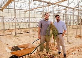 El Consejo Social de la UAL premia a una startup que convierte restos agrícolas en bioplástico