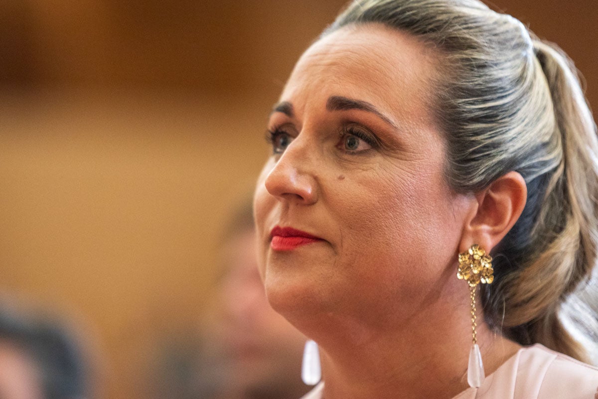 Las imágenes de la constitución de la Diputación de Granada