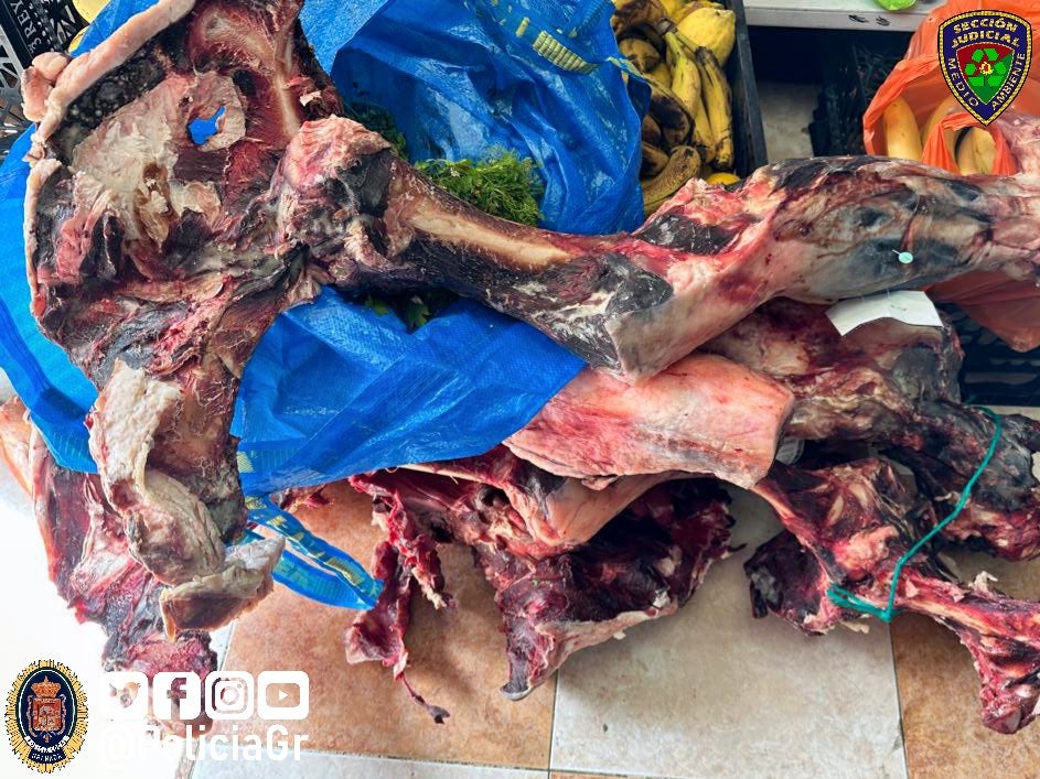 Las imágenes de la carnicería clausurada en Granada con carne podrida