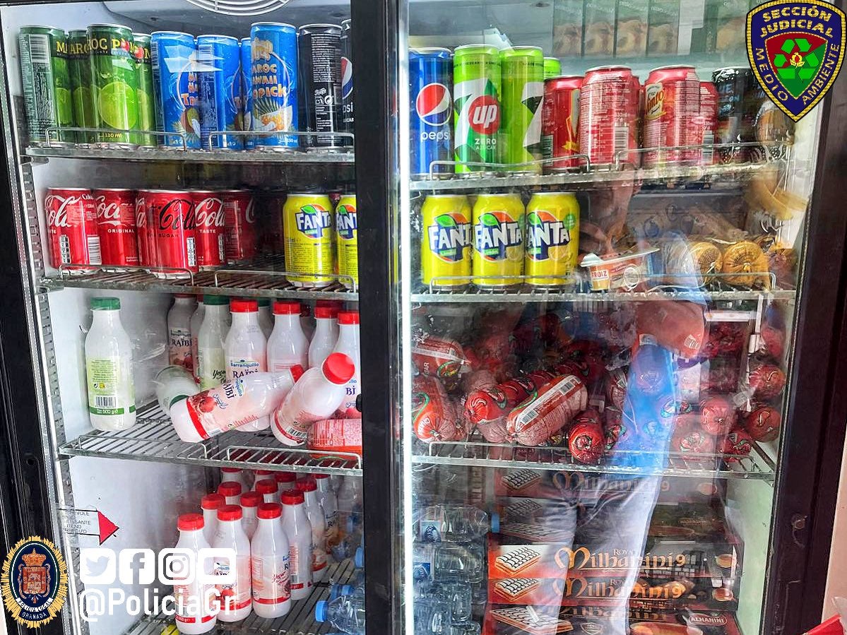 Las imágenes de la carnicería clausurada en Granada con carne podrida