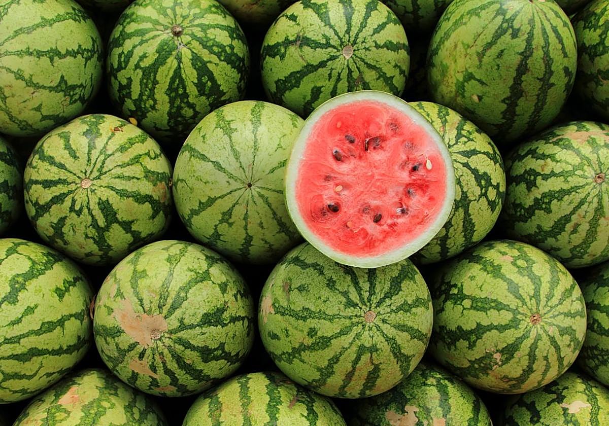 Alerta sanitaria por sandías contaminadas.