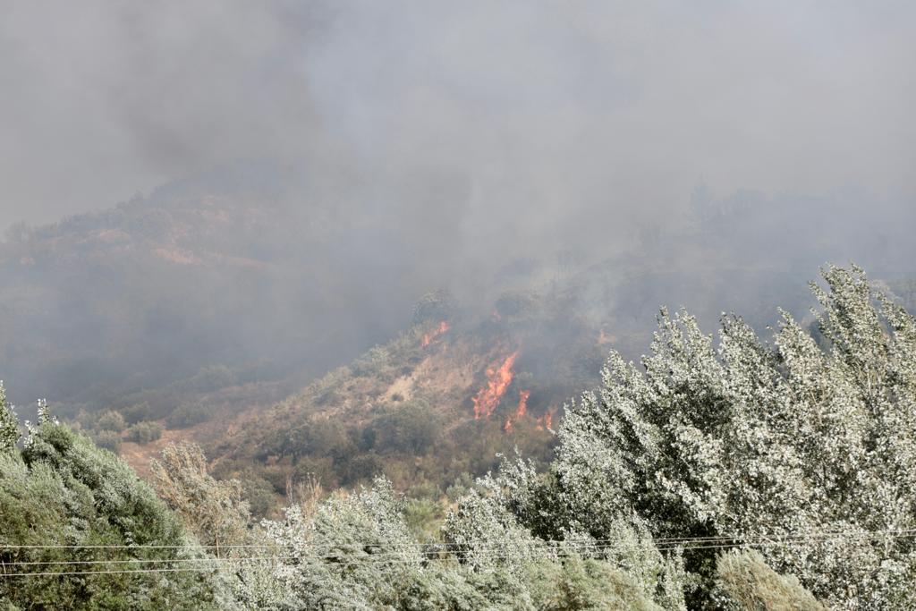 Las imágenes del incendio en Pinos Genil