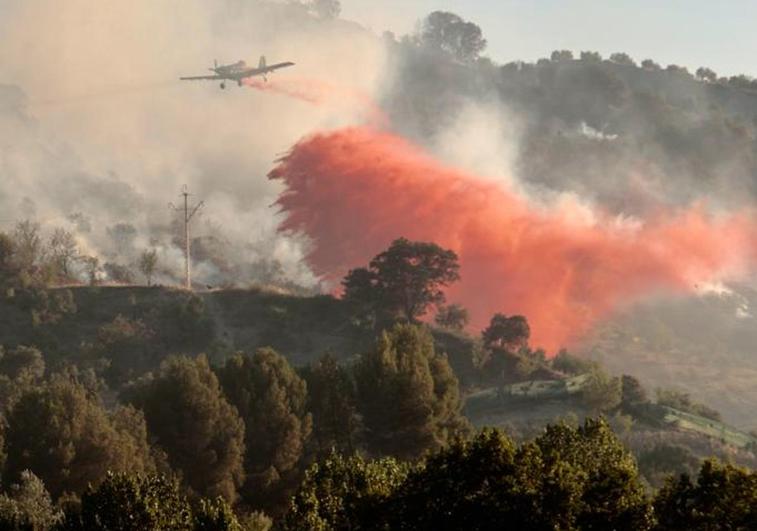 Incendio declarado en Aguas Blancas.