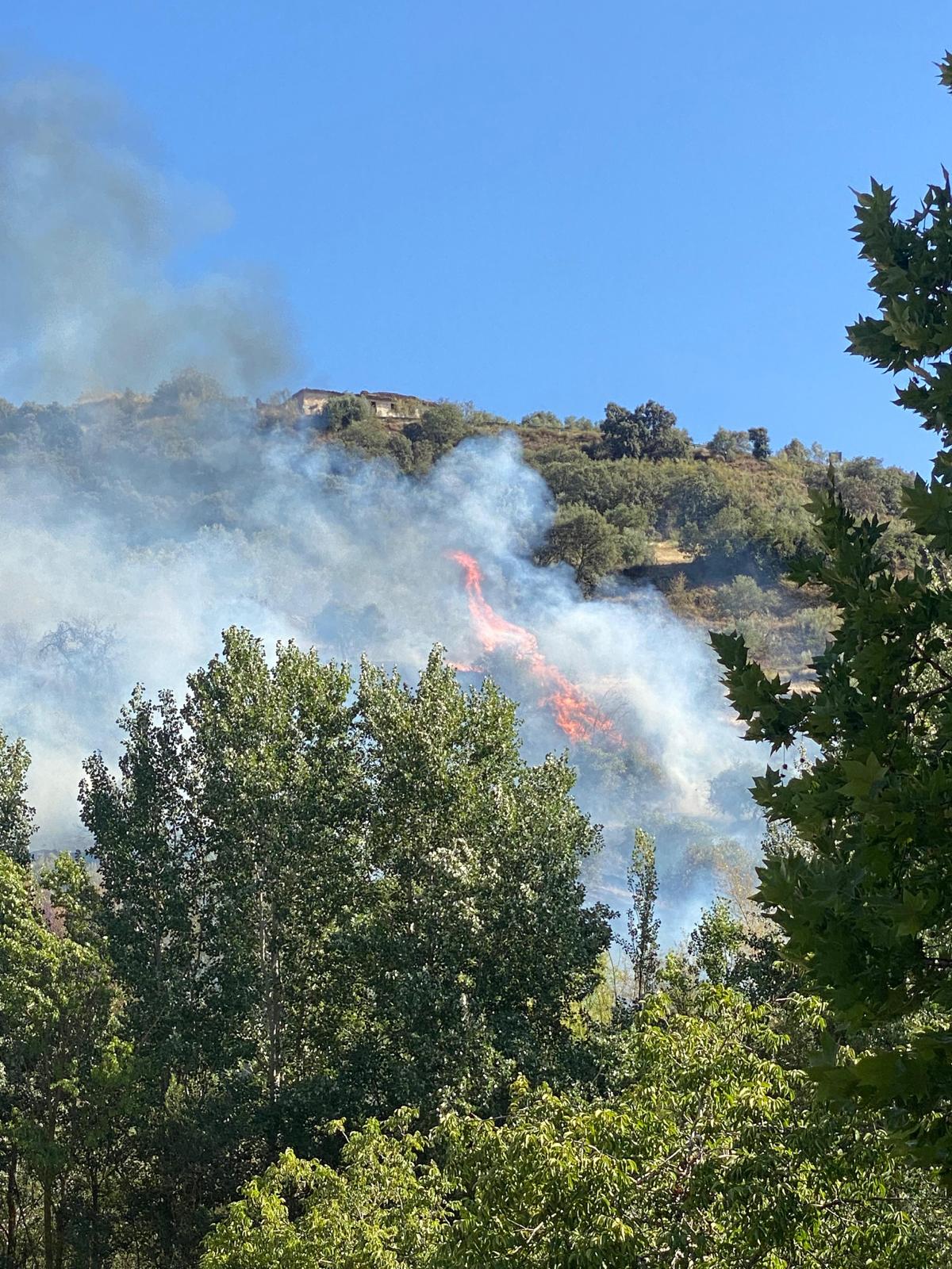 Las imágenes del incendio en Pinos Genil