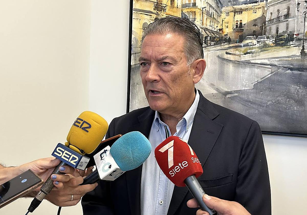 El primer teniente de alcalde de Linares, Raúl Caro-Accino.