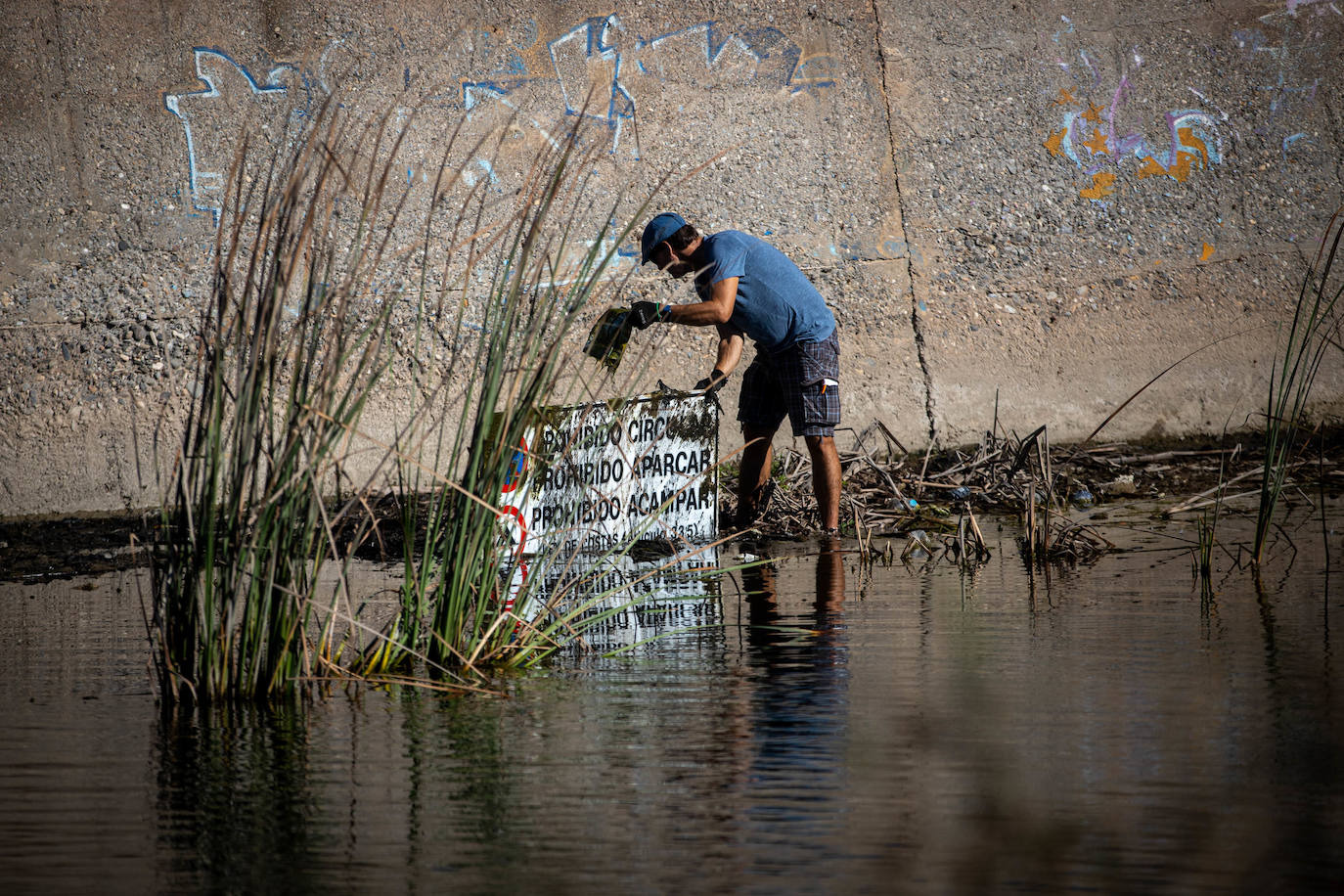 Las imágenes de la limpieza del Guadalfeo