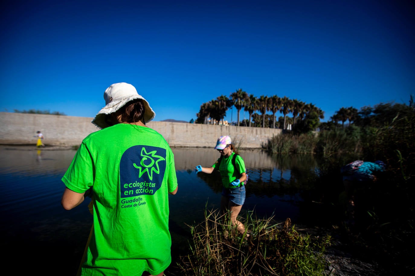 Las imágenes de la limpieza del Guadalfeo