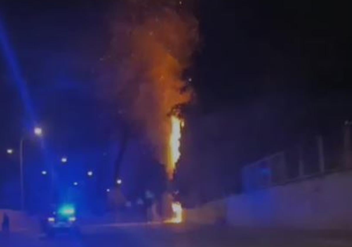 Árbol en llamas en la madrugada del miércoles en la zona Norte de Granada.