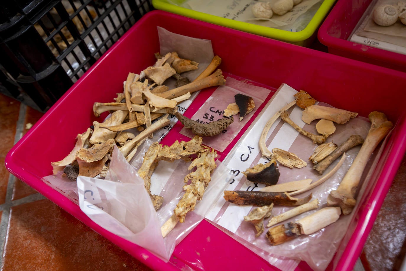Las imágenes de la imponente Cueva de los Murciélagos de Granada