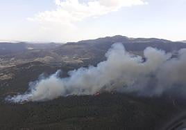 Incendio forestal ocurrido el año pasado en Jódar.