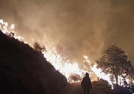 Incendio en Güéjar Sierra.