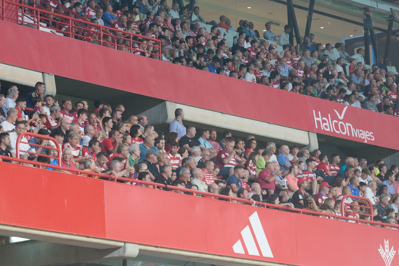Encuéntrate en la grada durante el Granada-Rayo