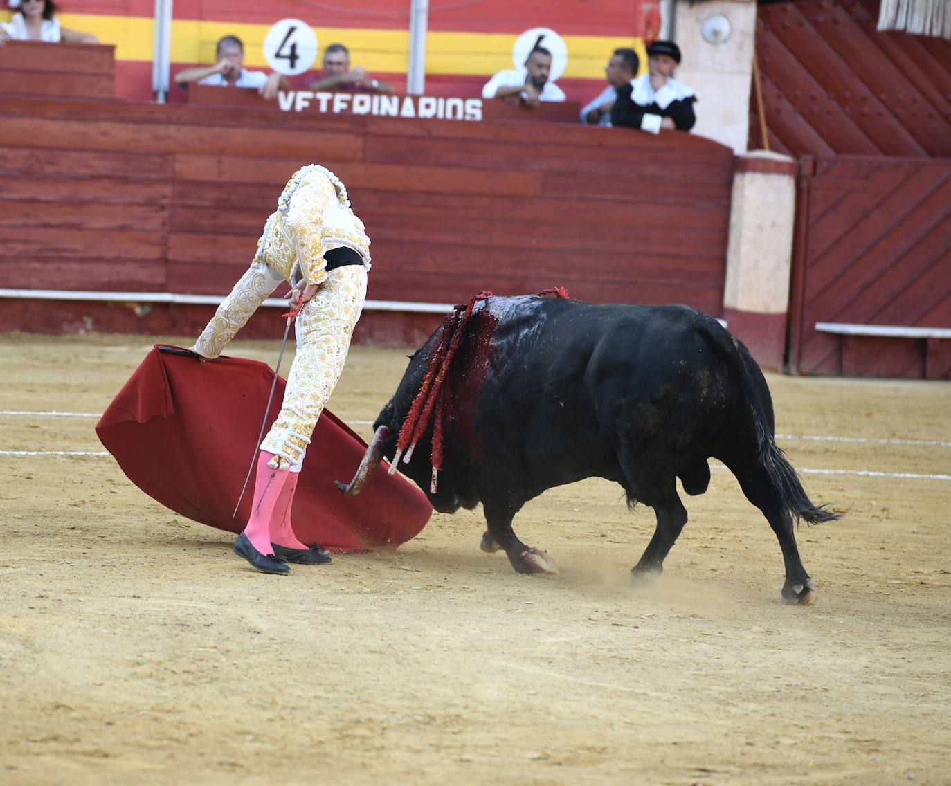 Un sueño hecho realidad