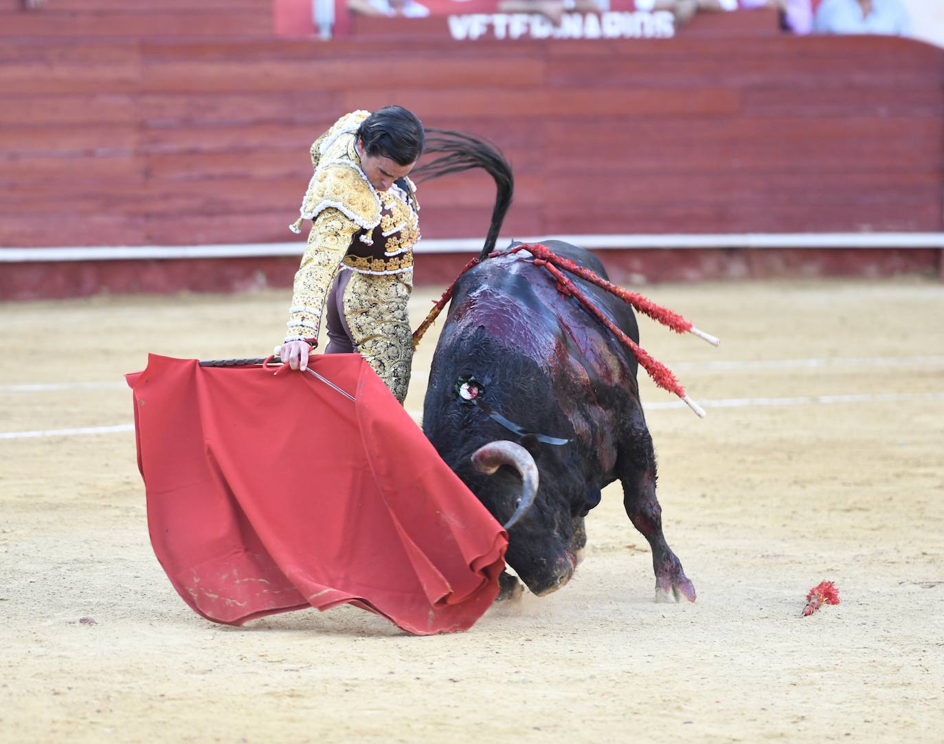 Un sueño hecho realidad