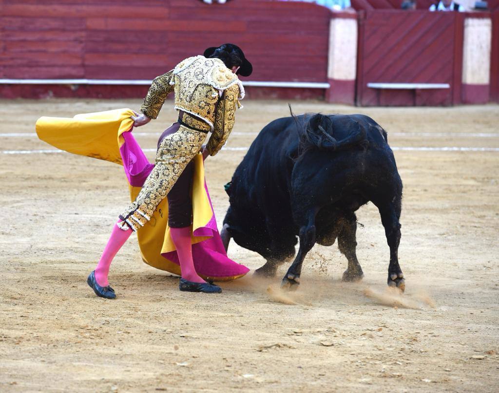 Un sueño hecho realidad