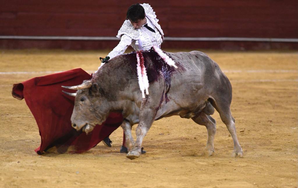 Un sueño hecho realidad