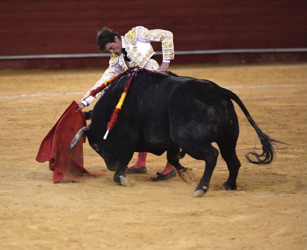 Un sueño hecho realidad