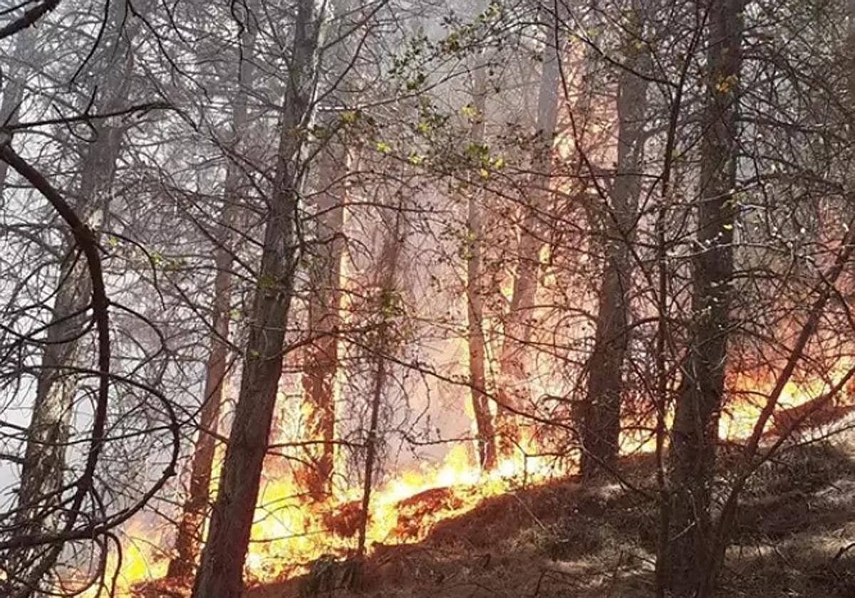 Incendio en Dúrcal.