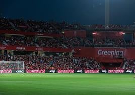 Nuevo césped y fallo en la iluminación.