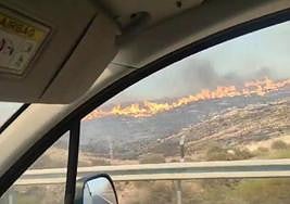 Declarado incendio forestal en la A-7 de Almería.