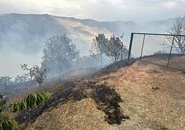 El incendio en el paraje natural de Güéjar Sierra.
