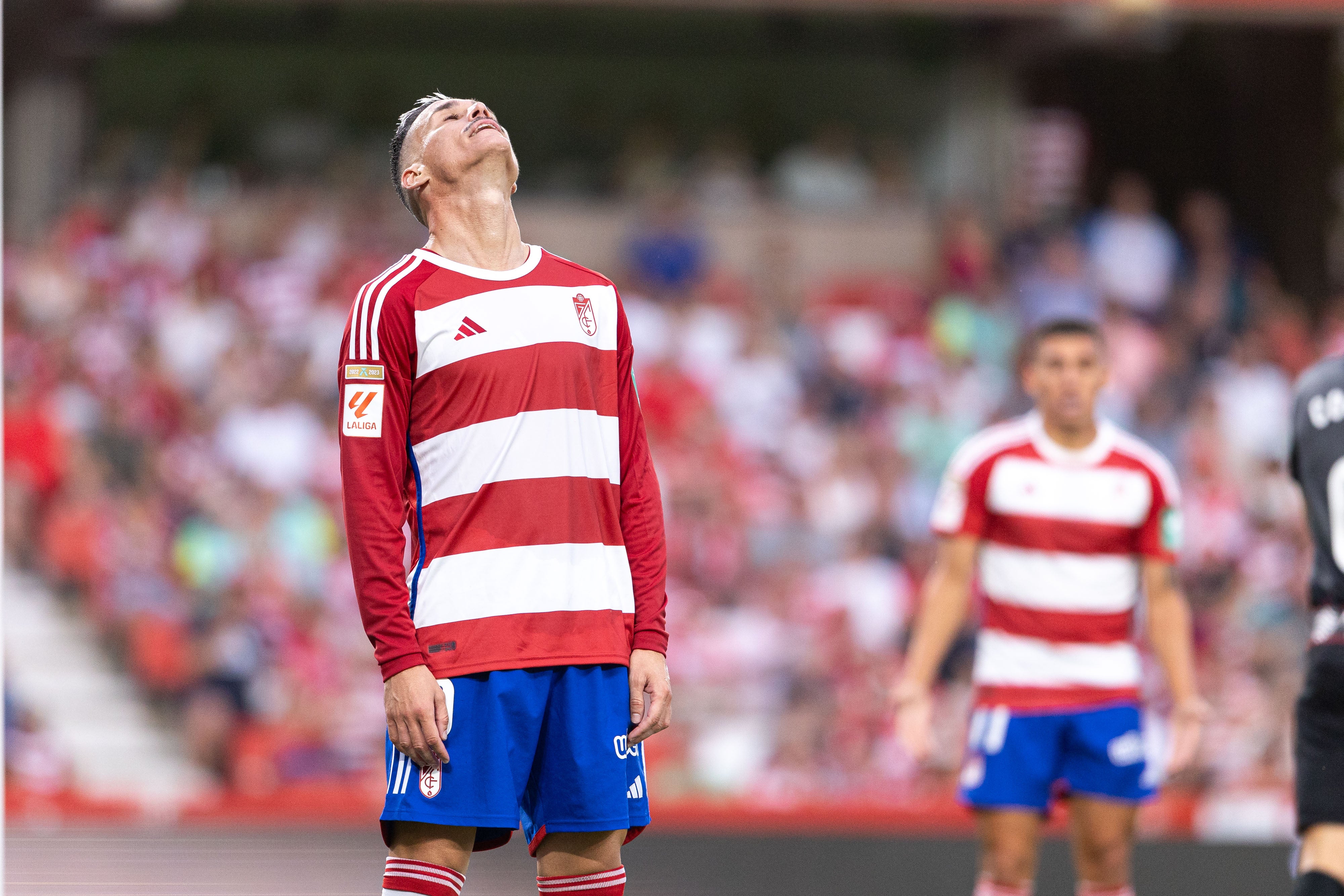 Encuéntrate en la grada durante el Granada-Mallorca
