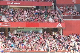 Encuéntrate en la grada durante el Granada-Mallorca