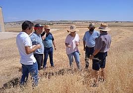 Asaja prevé un descenso del 90% en la cosecha de cereal y UPA habla de pérdida total