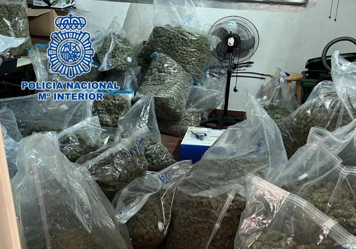 Marihuana incautada en la operación llevada a cabo en Granada