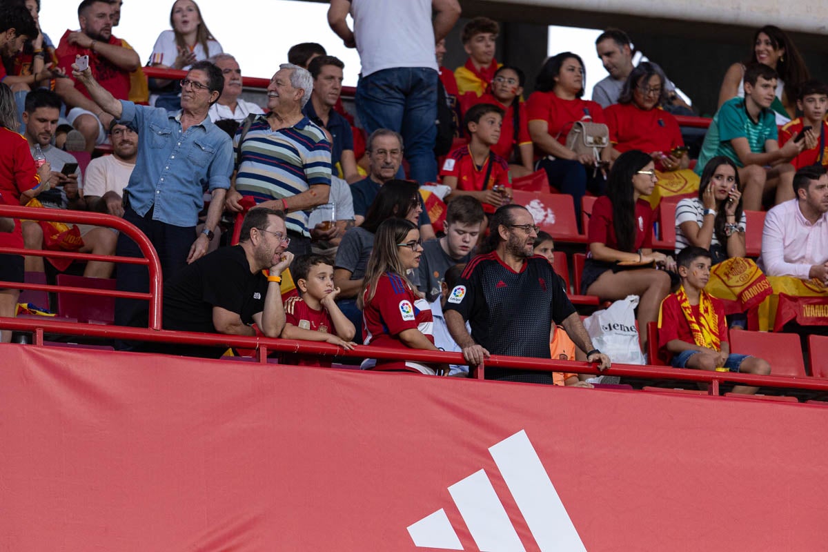 Búscate en la grada de Los Cármenes en el partido de &#039;la Roja&#039;